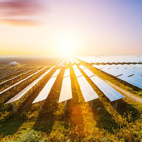 Briefing sull'industria fotovoltaica in Cina: da gennaio a novembre, la capacit&agrave; fotovoltaica installata ha raggiunto 163,8 kilowatt